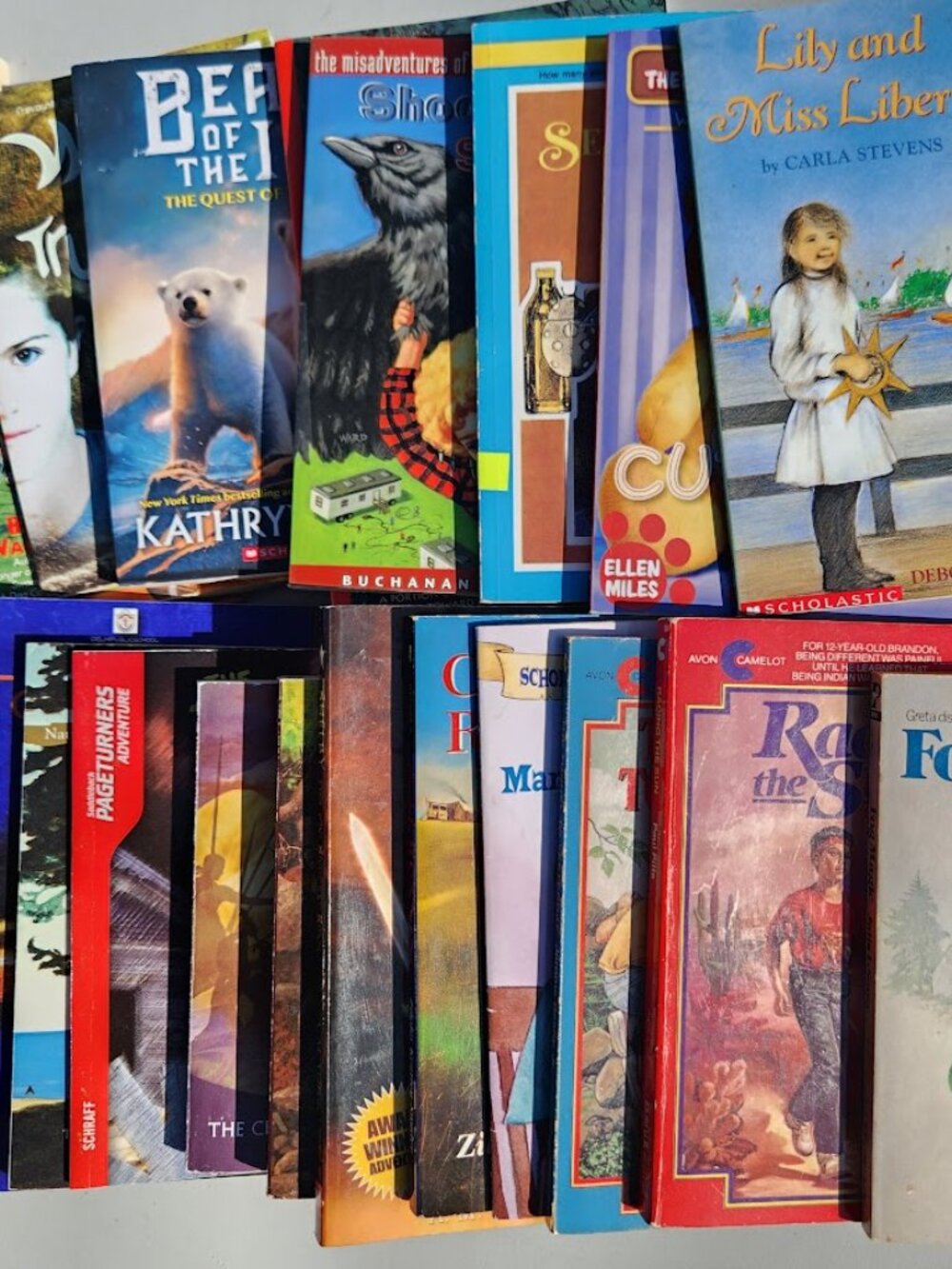 4 Book Bundle Lot Set Chapter Books Young Adult Literature Novels Mystery Books - Picture 14 of 16
